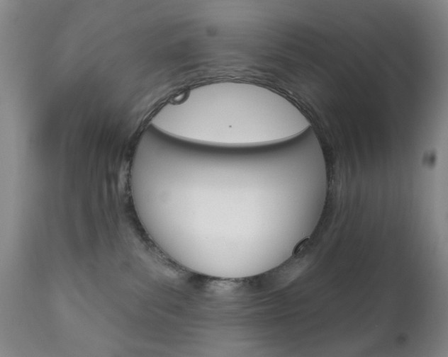 X0000111170139200907011017