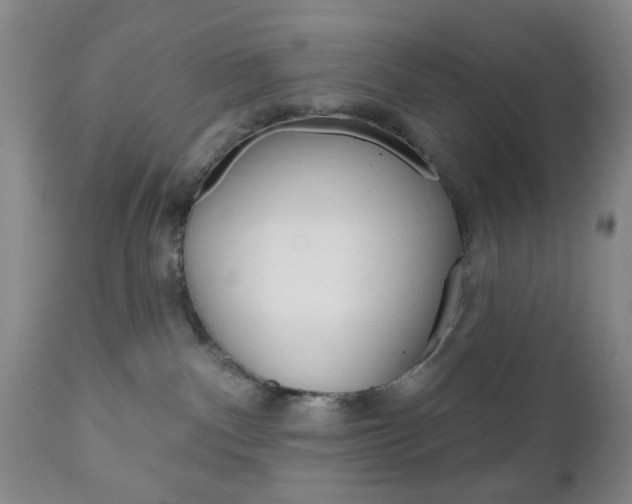 X0000111170140200907011017