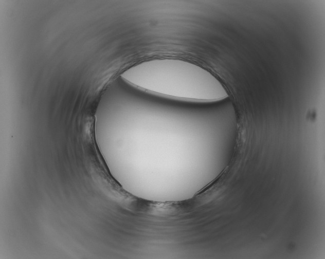 X0000111170141200907011017