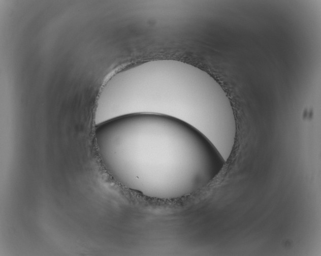 X0000111170144200907011017