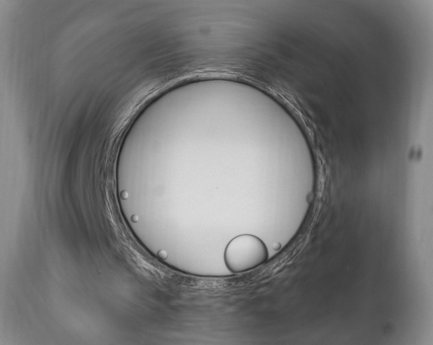 X0000111170145200907011016