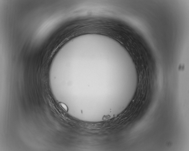 X0000111170146200907011016