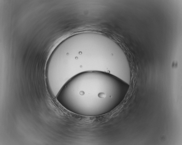 X0000111170148200907011016