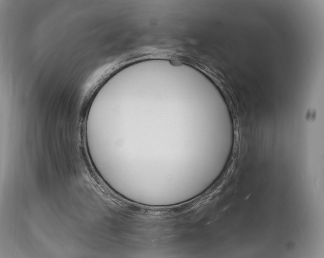 X0000111170149200907011016