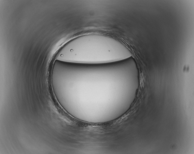 X0000111170150200907011016