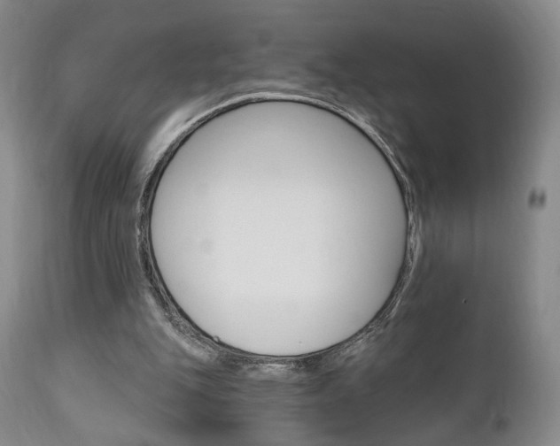 X0000111170151200907011016