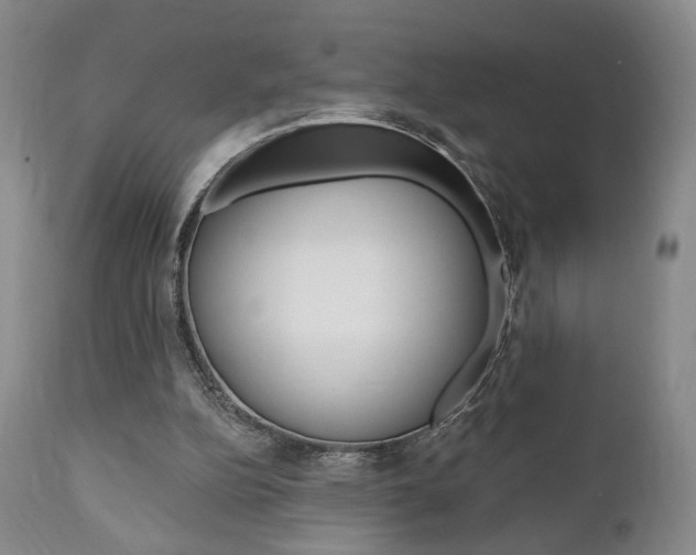 X0000111170152200907011016