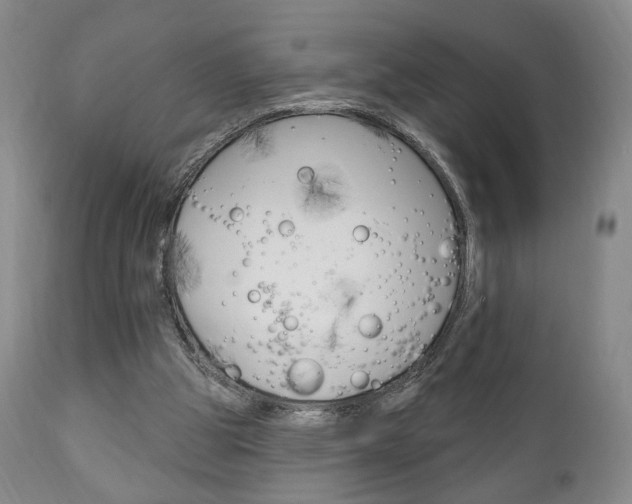 X0000111170153200907011016