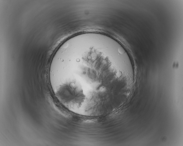 X0000111170155200907011016