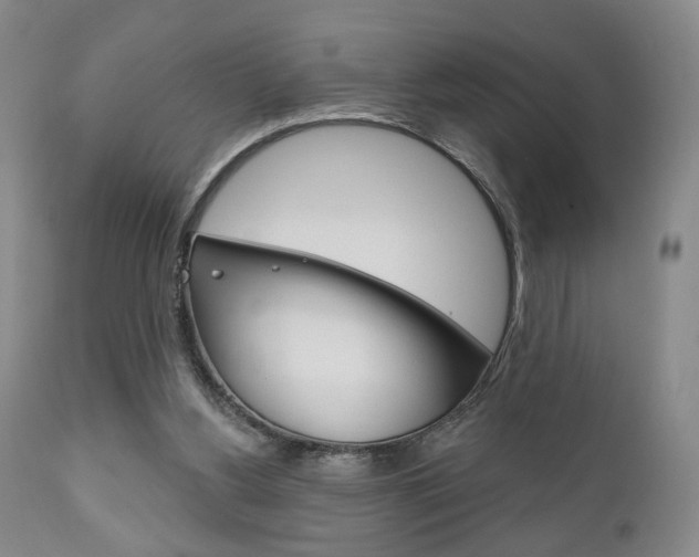 X0000111170156200907011016