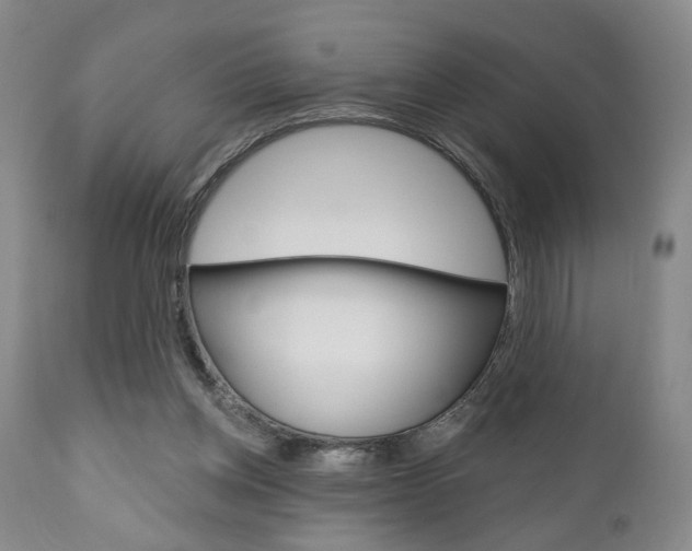 X0000111170158200907011016