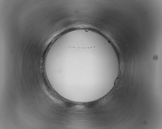 X0000111170159200907011017