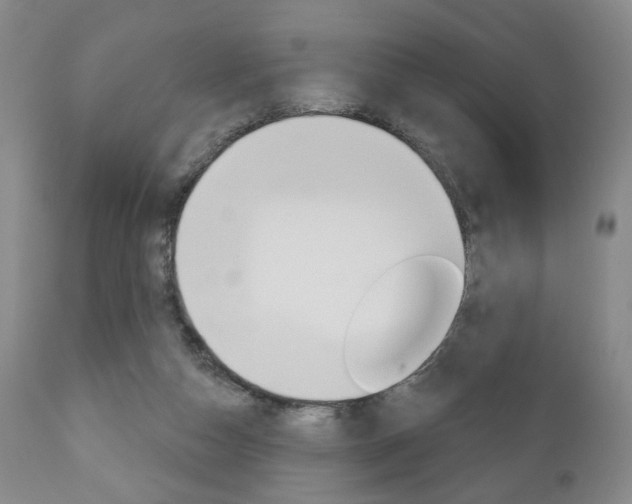 X0000111170162200907011017