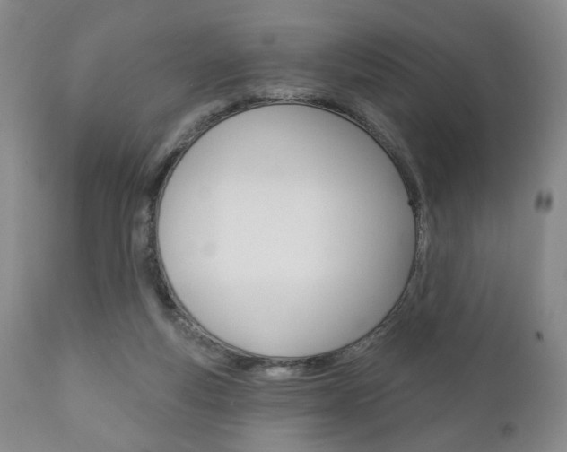 X0000111170163200907011017