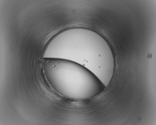 X0000111170164200907011017