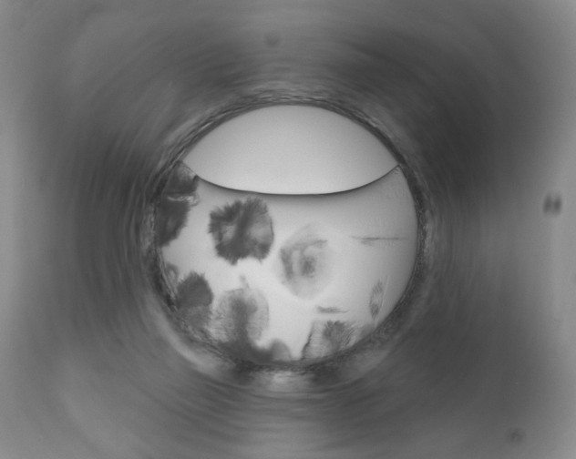 X0000111170165200907011017