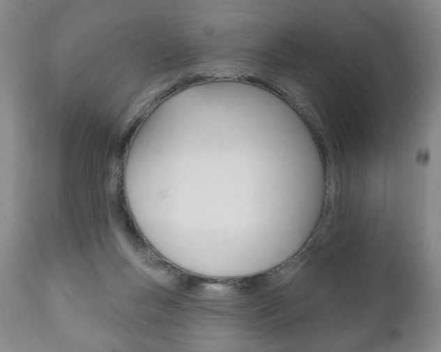 X0000111170167200907011017