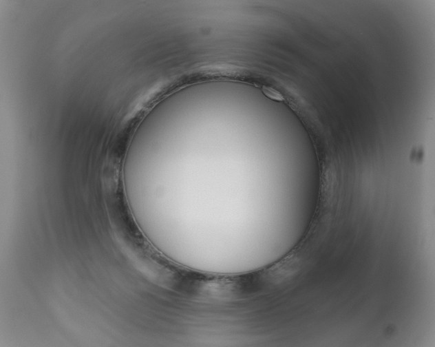 X0000111170168200907011017