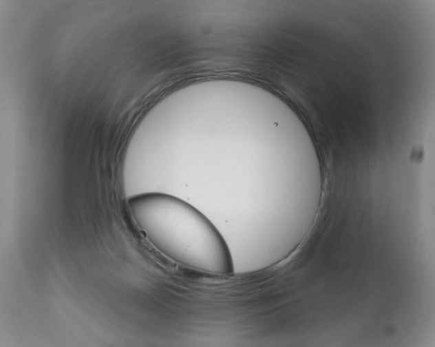 X0000111170170200907011017