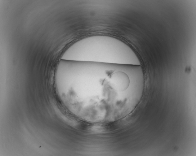 X0000111170171200907011017