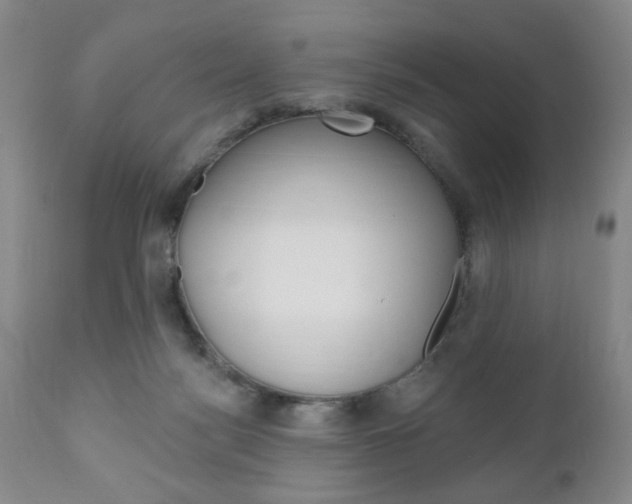 X0000111170172200907011017