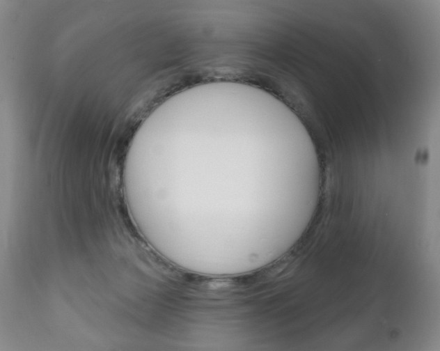 X0000111170173200907011017