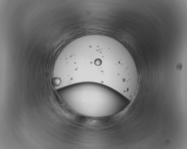 X0000111170174200907011017