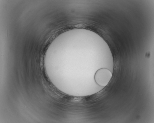 X0000111170175200907011017