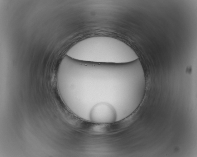 X0000111170178200907011017