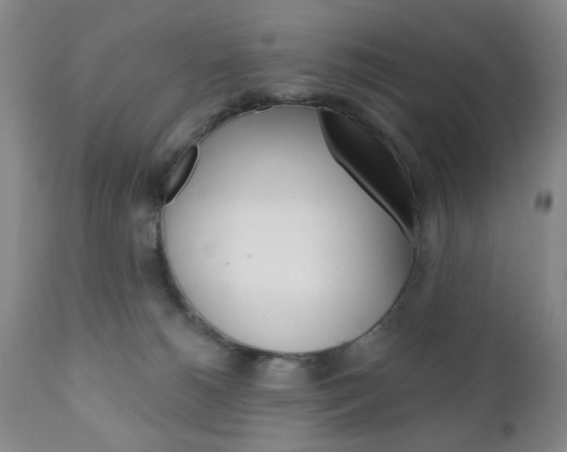 X0000111170180200907011017