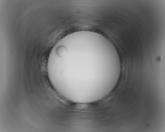 X0000111170181200907011017