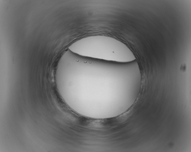 X0000111170182200907011017