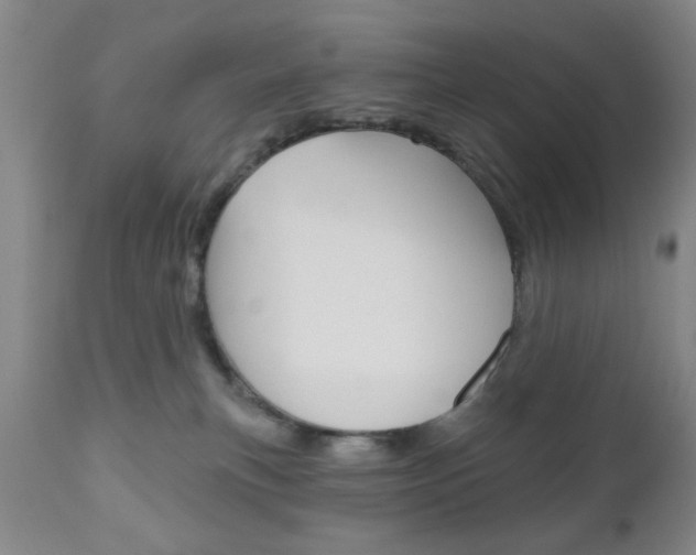 X0000111170183200907011017