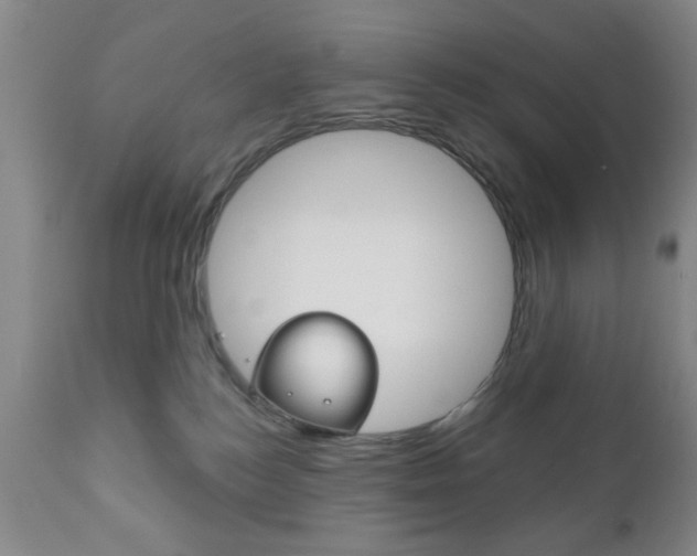 X0000111170184200907011017