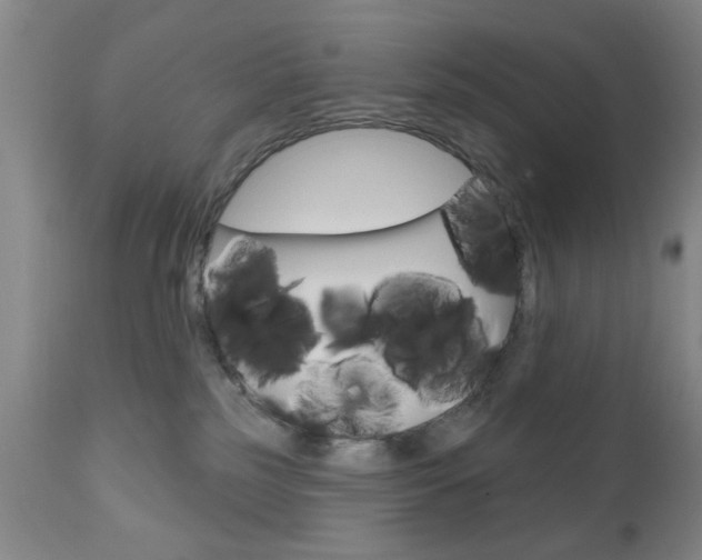 X0000111170185200907011017