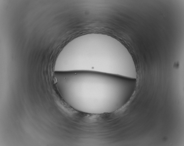 X0000111170186200907011017