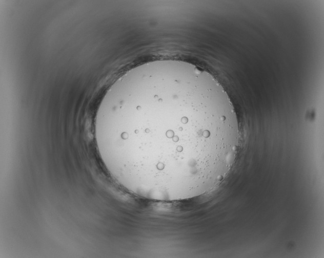 X0000111170187200907011017