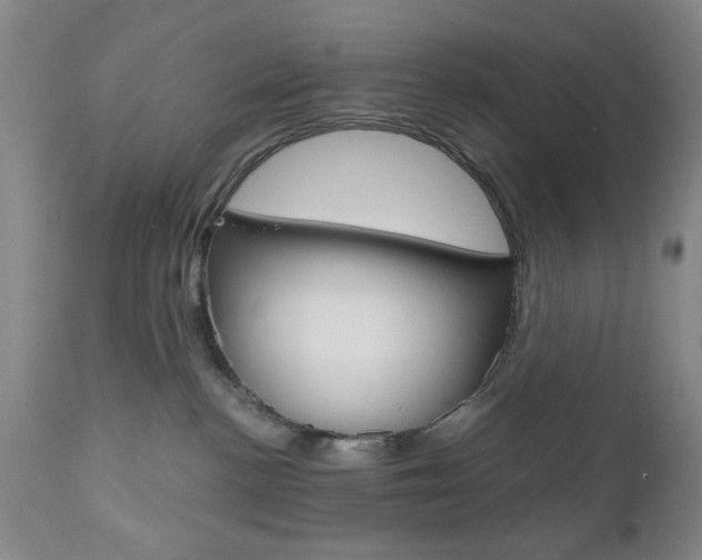 X0000111170188200907011017