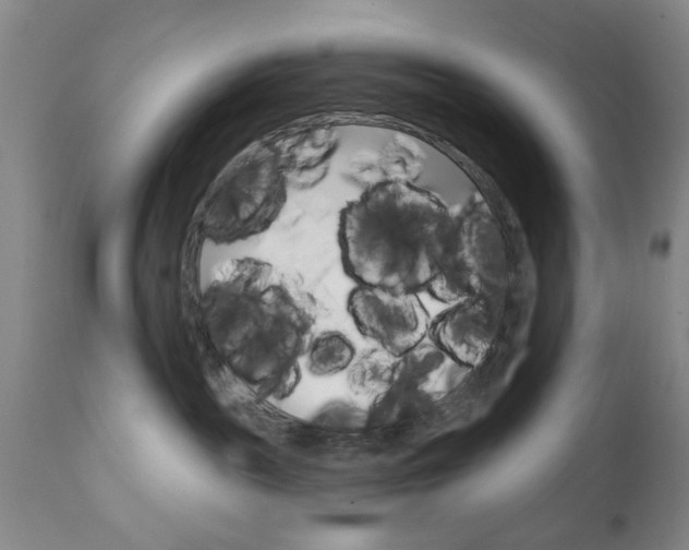 X0000111170189200907011017