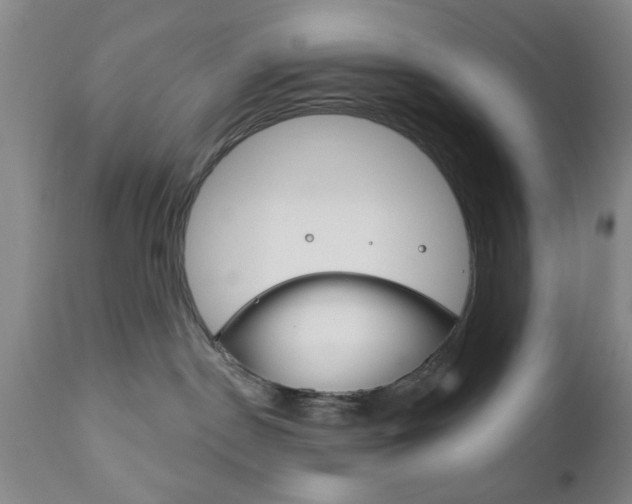 X0000111170190200907011017