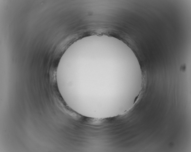 X0000111170191200907011017