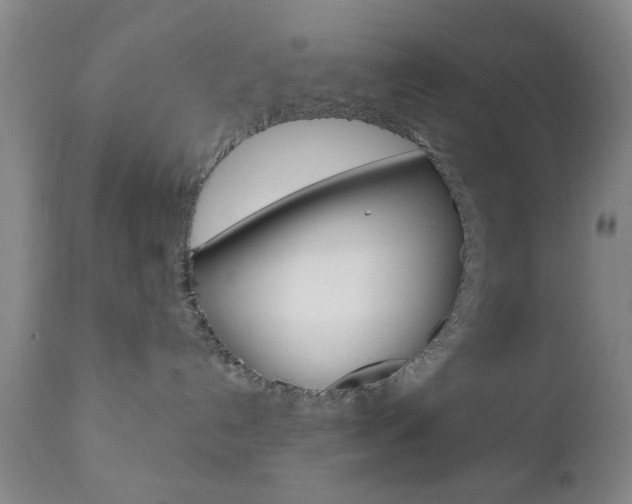 X0000111170192200907011017