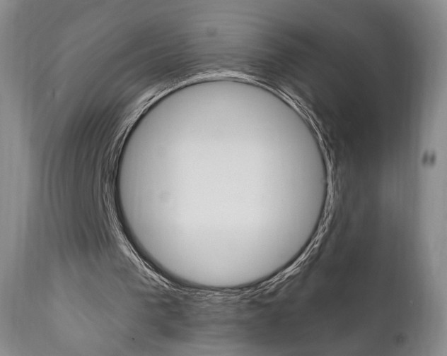 X0000111170193200907011016