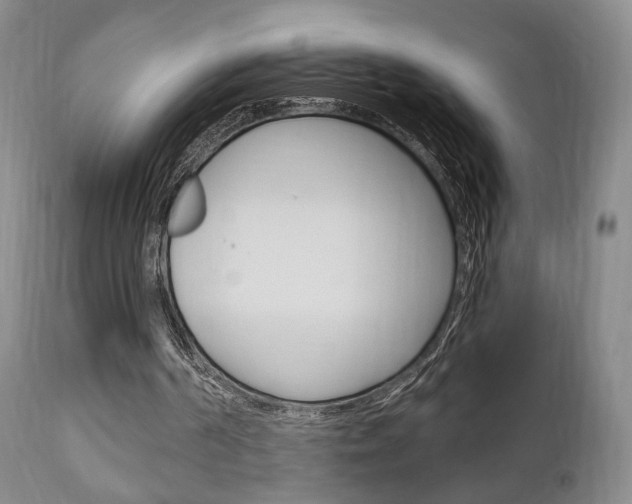 X0000111170194200907011016