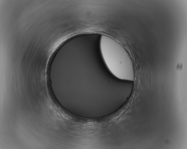 X0000111170196200907011016