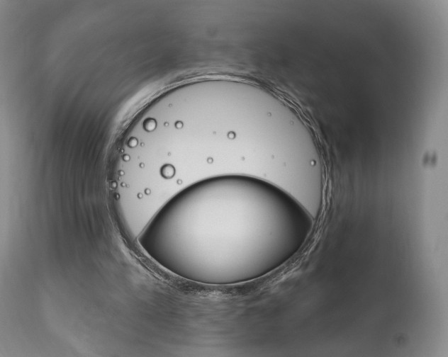 X0000111170197200907011016