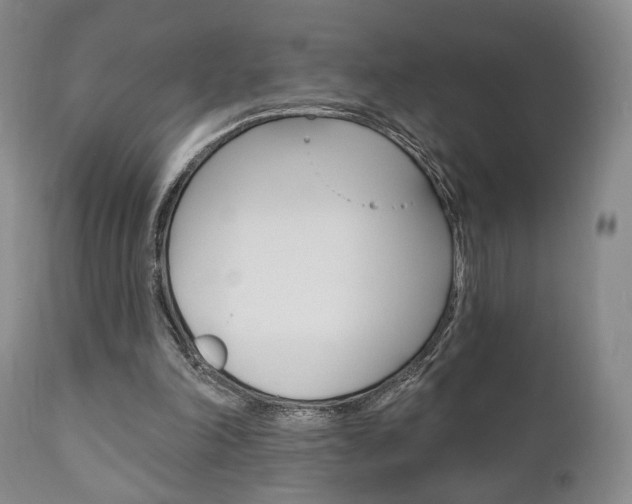 X0000111170198200907011016