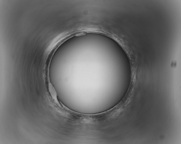 X0000111170199200907011016