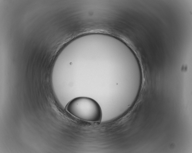 X0000111170201200907011016