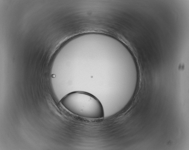 X0000111170203200907011016